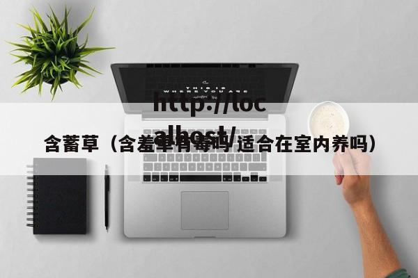 含蓄草（含羞草有毒吗 适合在室内养吗）